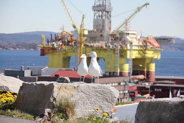 Offshore Drilling Project